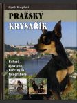 Pražský krysařík - náhled