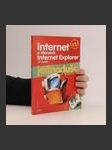 Internet a Microsoft Internet Explorer - jednoduše - náhled