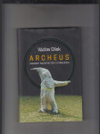 Archeus (Fragment radostné vědy o trpaslících) - náhled