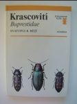 Krascovití - Buprestidae - náhled