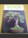 Pokojová Bonsai - náhled