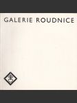 Galerie Roudnice - náhled
