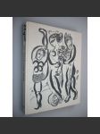 Das graphische Werk [umění, grafika, podpis dcery M. Chagalla, signováno] - náhled