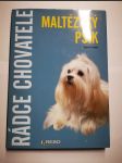 Maltézský psík - náhled