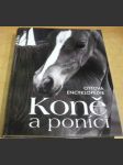 Ottova encyklopedie Koně a poníci - náhled