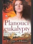 Planoucí eukalypty - náhled