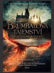 Fantastická zvířata: Brumbálova tajemství (Fantastic Beasts: The Secrets of Dumbledore) - náhled