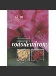 Stálezelené rododendrony - náhled