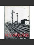 H. V. Wolvens [= Monographies de l'art belge] [Belgie; umění; malířství; animismus; Henri Victor Wolvens] - náhled