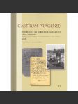 Castrum Pragense 11/2011 - Pohřebiště na Loretánském náměstí v Praze - Hradčanech, díl II - Dokumentace, archeologie (apart) - náhled