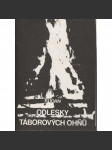 Odlesky táborových ohňů. Vzpomínky na tábornictví, woodcraft, skauting a tramping u nás i ve světě - Rudan (Rudolf Noha) Jílové 1969 tmavá verze - náhled