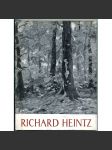 Richard Heintz [= Monographies de l'art belge. La deuxième série; 4] [Belgie; umění; impresionismus] - náhled