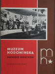 Muzeum Hodonínska - náhled