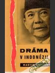 Dráma v Indonézii - náhled