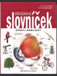 Obrázkový slovníček česky / anglicky - náhled