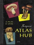 Kapesní atlas hub - Pom. kniha pro zákl. devítileté školy, stř. všeobec. vzdělávací a pedagog. školy - náhled