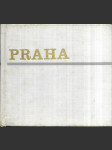 Praha - náhled