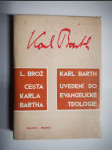 Cesta Karla Bartha - Uvedení do evangelické teologie - náhled