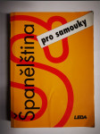 Španělština pro samouky - náhled