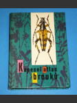 Kapesní atlas brouků - náhled