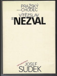 Pražský chodec - náhled