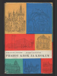 Prahou krok za krokem - průvodce městem - náhled