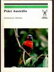 Ptáci austrálie - náhled
