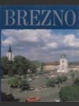 Brezno a okolie - náhled