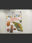 Dětská ilustrovaná encyklopedie, Otázky a odpovědi - náhled