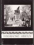 Vyšehradský hřbitov (malý formát) - náhled