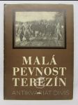Malá pevnost Terezín: Dokument československého boje za svobodu a nacistického zločinu proti lidskosti - náhled