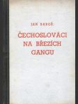 Čechoslováci na březích Gangu od prvopočátků až po dnešní dobu - náhled