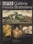 Galéria mesta Bratislavy - Výber zo zbierok 1 (veľký formát) - náhled
