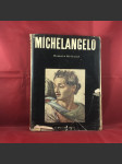 Michelangelo - náhled