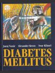 Diabetes Mellitus vozár (veľký formát) - náhled