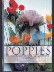 Poppies  (veľký formát) - náhled