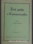 Živé pašije v konnersreuthu - bečica josef - náhled