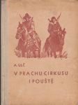 V prachu cirkusu i pouště: Příběh statečného chlapce - náhled