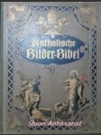 Katholische Bilderbibel des Alten und Neuen Testamentes - ALBERT Franz / REIMERINGER Franz ( Herausgegeben ) - náhled