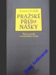Pražské přednášky - kohák erazim - náhled