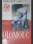 Olomouc - průvodce po historických památkách města - pátek vilém - náhled
