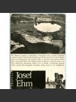 Josef Ehm. Soubor 12 pohlednic [= Edice Profily] [fotografie; umění] - náhled
