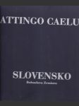 Attingo Caelum Slovensko Bohuslava Zemiara (veľký formát) - náhled