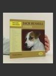 Jack Russell teriér - náhled
