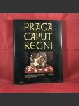 Praga caput regni - náhled