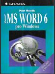 MS Word 6 pro Windows - Snadno a rychle - náhled