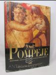 Pompeje: Historie, život a umění zmizelého města - náhled