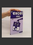 Excel 2002 - náhled
