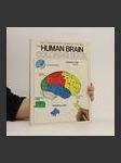 The Human Brain Coloring Book - náhled