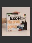 Microsoft Excel 2000 - Na první pokus - náhled